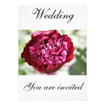 Poppy You Are Invited Invitation