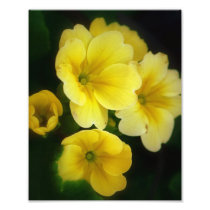 Pops of Yellow 8x10 Photo