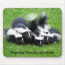 Popular Flickr Family Mouse Pad