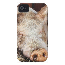 Porc des loisirs coque Case-Mate iPhone 4