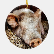 Porc des loisirs décoration pour sapin de noël