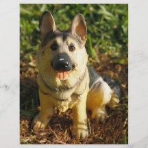 Porcelain Dog Personalized Flyer
