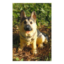 Porcelain Dog Photo Print