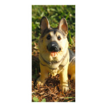 Porcelain Dog Rack Cards