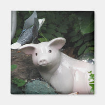 Porcelain Pig Refrigerator Magnets