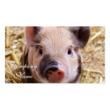 Porcelet Cartes De Visite Personnelles