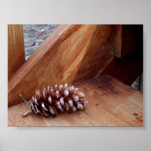 Porch Pine Cone Posters