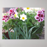 Porch Plants posters