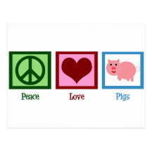 Porcs d'amour de paix cartes postales