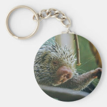 Porcupine 2 Keychain