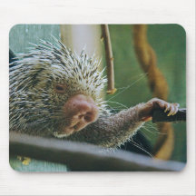 Porcupine 2  Mousepad
