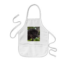 porcupine apron
