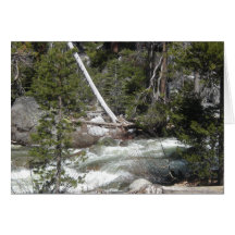 Porcupine Creek Yosemite Cards