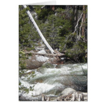 Porcupine Creek Yosemite Cards