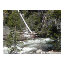 Porcupine Creek Yosemite Postcard