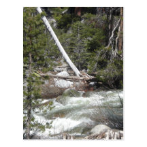 Porcupine Creek Yosemite Postcards