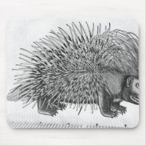 Porcupine, from 'Historia Animalium' Mousepad