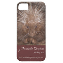Porcupine iPhone Case iPhone 5 Cases