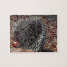 Porcupine Puzzle