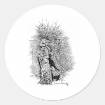 Porcupine Round Stickers