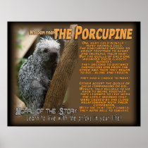PORCUPINE WISDOM POSTER