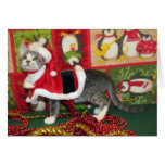 Pork Chop Starring as Santa Claws Greeting Card