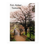 Port Arthur,Tasmania Post Cards