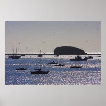 "Port San Luis" poster