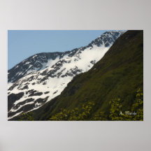 Portage Valley Poster