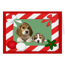 Porte-cartes de Noël de beagle