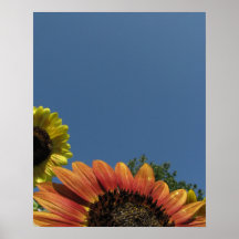 Portée pour le ciel ! poster