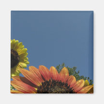Portée pour le ciel ! magnets pour réfrigérateur