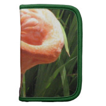 Portefeuille tropical de flamant agenda