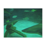 Porthole Postcard