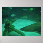 Porthole Poster