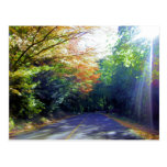 Portland, Oregon Road to the Rose Garden Postcard