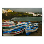 Porto dos Carneiros