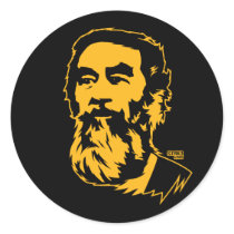 Portrait barbu de Saddam Hussein autocollants