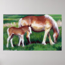 Portrait belge de cheval de jument et de poulain affiche