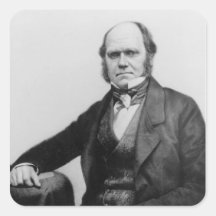 Portrait de Charles Darwin, 1854 Autocollants