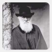 Portrait de Charles Darwin 1881 Autocollants