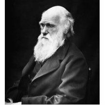 Portrait de Charles Darwin Découpages En Acrylique