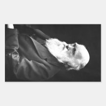 Portrait de Charles Darwin Stickers Rectangulaires