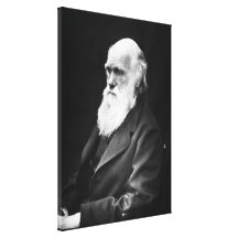 Portrait de Charles Darwin Toiles Tendues