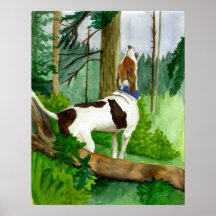 Portrait de chien de Coonhound de marcheur de Tree Affiches