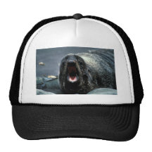 Portrait de joint de fourrure casquette de camionneur