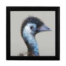 Portrait d'émeu boîte à babioles