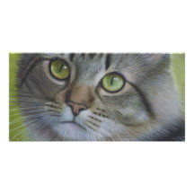Portrait d'un chat tigré photocarte