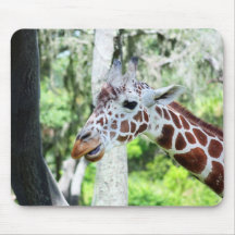 Portrait haut étroit de girafe tapis de souris