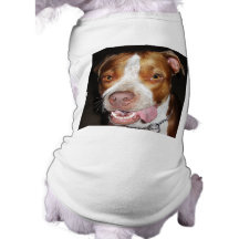 Portrait idiot de Pitbull T-shirts Pour Chien